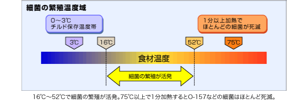 図：16℃～52℃で細菌の繁殖が活発。75℃以上で1分加熱するとO-157などの細菌はほとんど死滅。