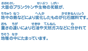 LNGは液化（えきか）するときに不純物（ふじゅんぶつ）を取（と）り除（のぞ）くので、大昔（おおむかし）のプランクトンや生物（せいぶつ）の死骸（しがい）が、 地中（ちちゅう）の熱（ねつ）などにより変化（へんか）したものが化石燃料（かせきねんりょう）です。 重（おも）さの違（ちが）いにより石油（せきゆ）や天然（てんねん）ガスなどに分（わ）かれて地層（ちそう）の中（なか）にたまっています。